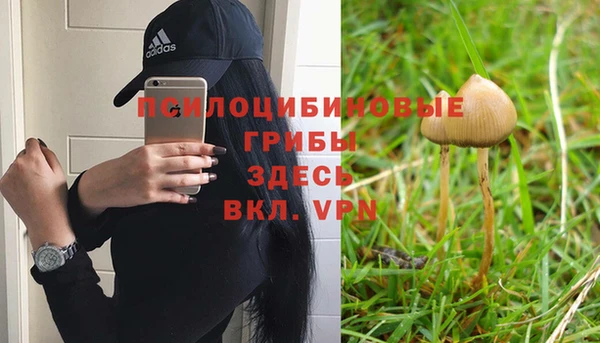 амфетамин Алексеевка