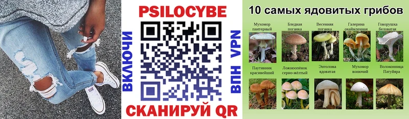 Галлюциногенные грибы Psilocybe  Сухой Лог 
