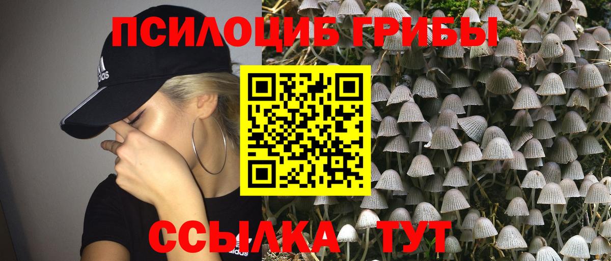 Галлюциногенные грибы ЛСД  Вход с VPN  Сухой Лог 